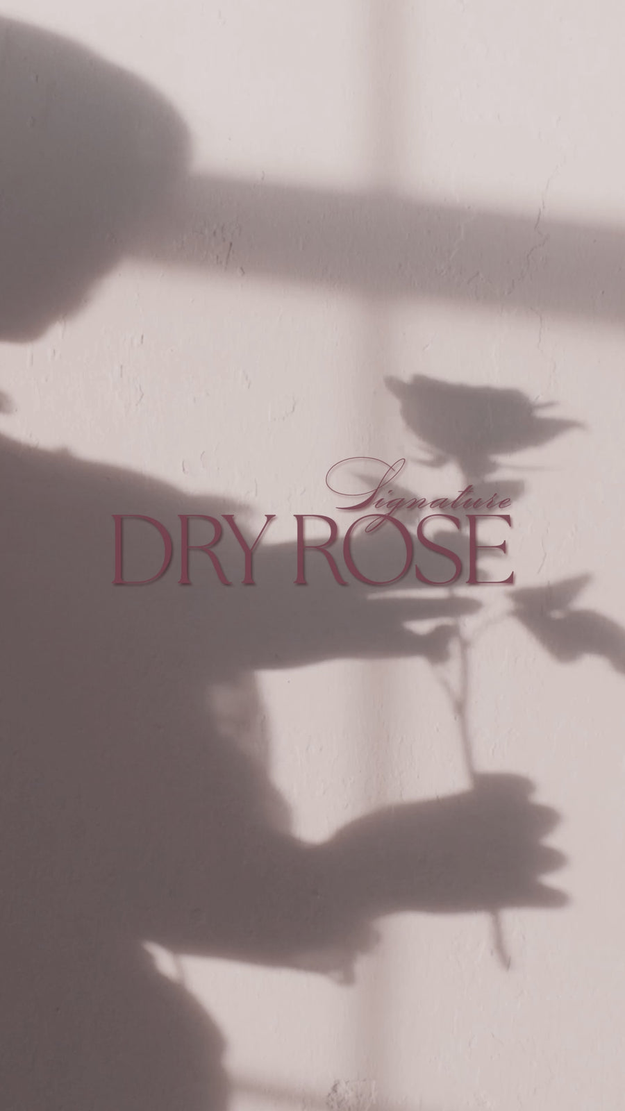 DGEL Dry Rose Collection